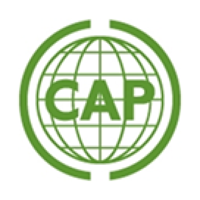 Partners – Commonwealth Sustainable Cities Initiative